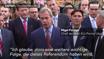 Brexit-Befürworter feiert den Sieg