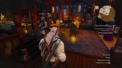 The Witcher 3: Wild Hunt- Horse in The Passiflora