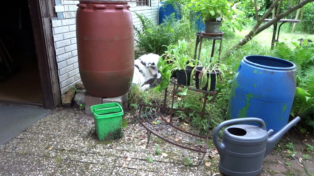 Gartenkomplett