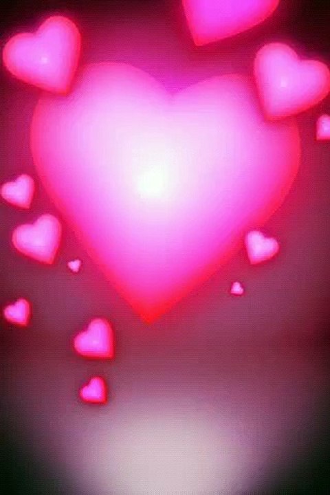 funny cat must watch Funny Cats Compilation (Must See )♦Funny Cat Videos 2016 || Top Videos