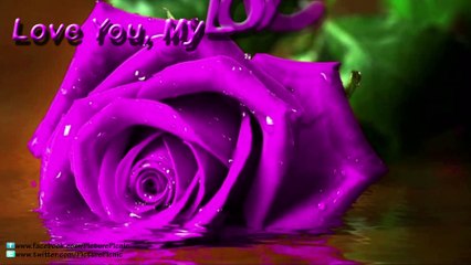 Adobe After Effect Simple Animated Love Message Template 24062016