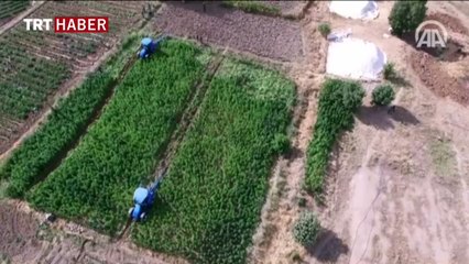 Lice'de terör örgütüne büyük darbe