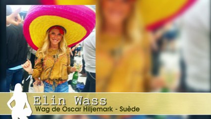 Euro 2016 : qui est Elin Wass, la wag sexy d'Oscar Hiljemark ? (vidéo)
