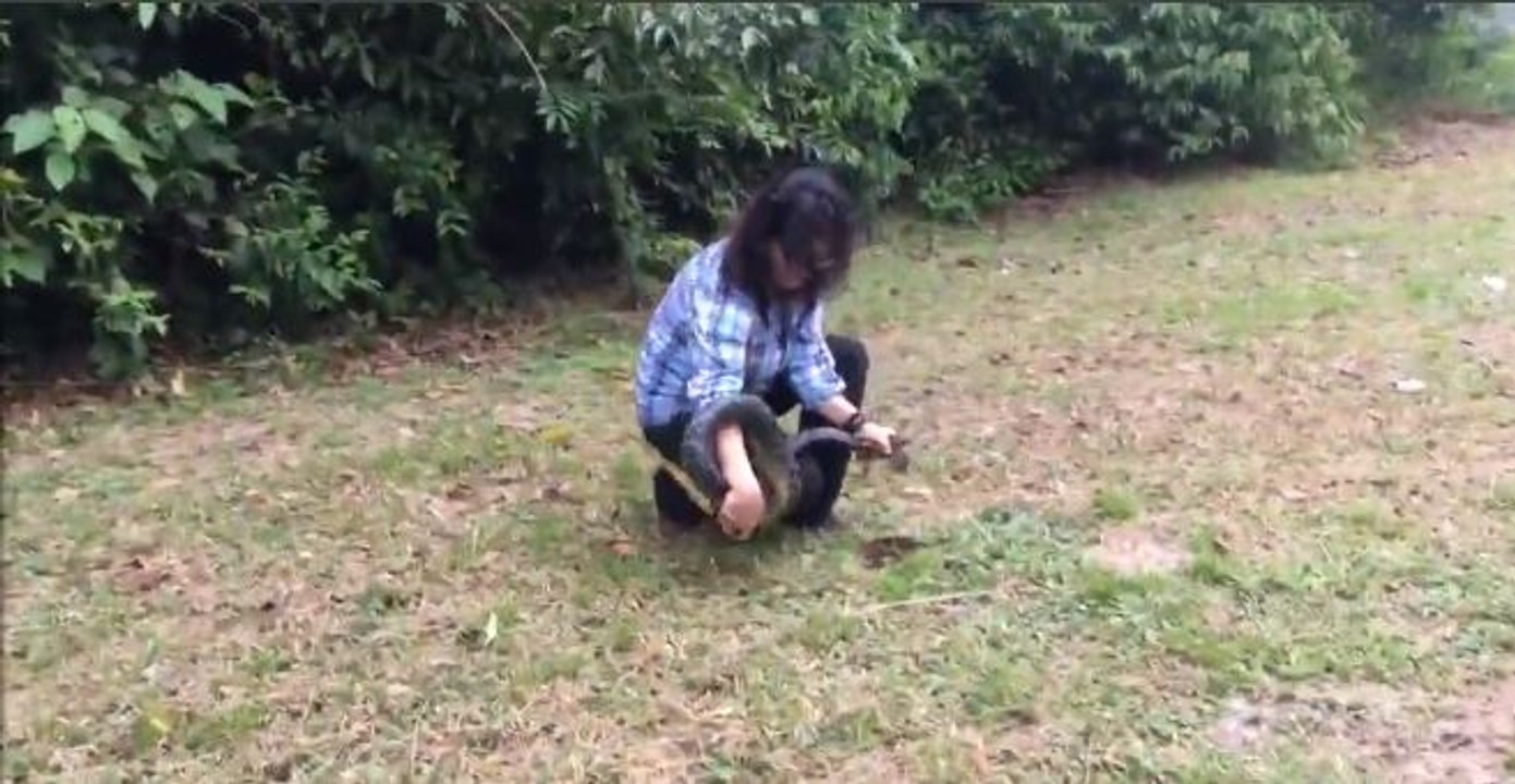 Un serpent de plus de 2 mètres se fait attraper et plaquer au sol par une femme très déterminée (vidéo)