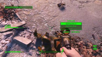 Fallout 4 von Sigi Ger (13)