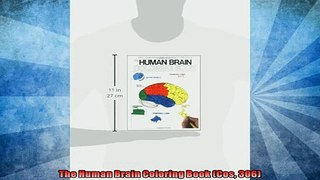 FREE DOWNLOAD  The Human Brain Coloring Book Cos 306  BOOK ONLINE
