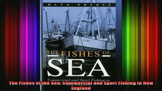 READ book  The Fishes of the Sea Commercial and Sport Fishing in New England Full EBook