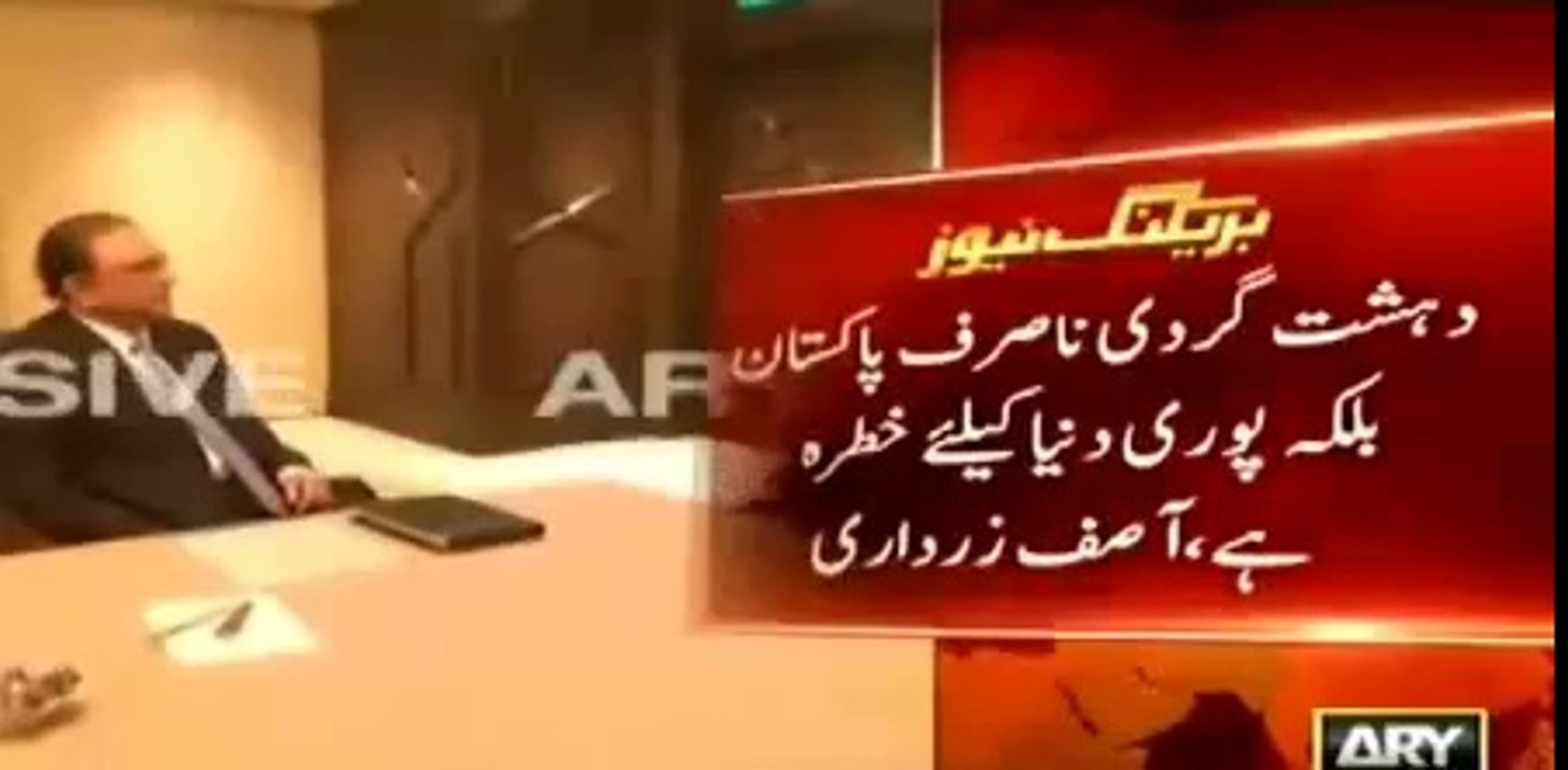 We need F-16s and drone technology - Zardari meets US John Mccain