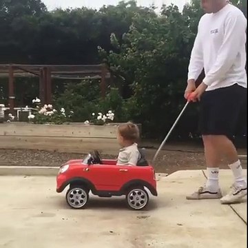 Quand ton chien a une voiture la plus cool