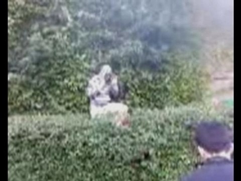 L'AvenTuRieR DeS MarCheS PerDueS