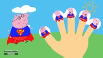 Canciones Infantiles en Español | La Familia Dedo Peppa Pig Se Disfraza Superman