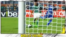 GABRIEL JESUS _ Palmeiras _ Goals, Skills, Assists _ 2016 (HD)
