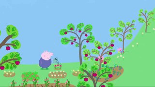 Peppa Pig English Episodes Full 2016 Peppa Pig Frogs and Worms and Butterflies