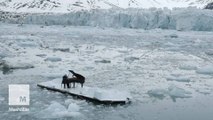 Pianist plays in Arctic Ocean as ice crumbles around him