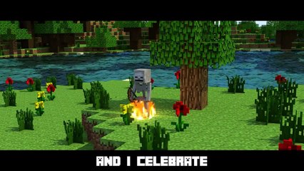 Minecraft my House minecraft animation