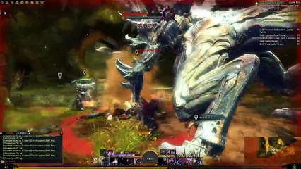 Guild Wars 2 Explorer: Avenging Eir