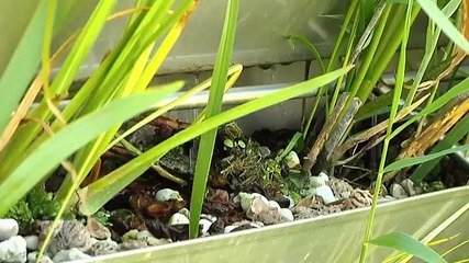 Verslaggever Robert Pastoor in de wereld van de Tiny Houses - deel 3 - RTV Noord