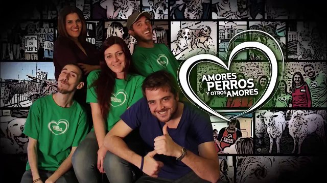 Amores Perros y Otros Amores - Tierra de Lobos, Curso de educación canina