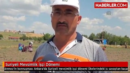 Suriyeli Mevsimlik İşçi Dönemi