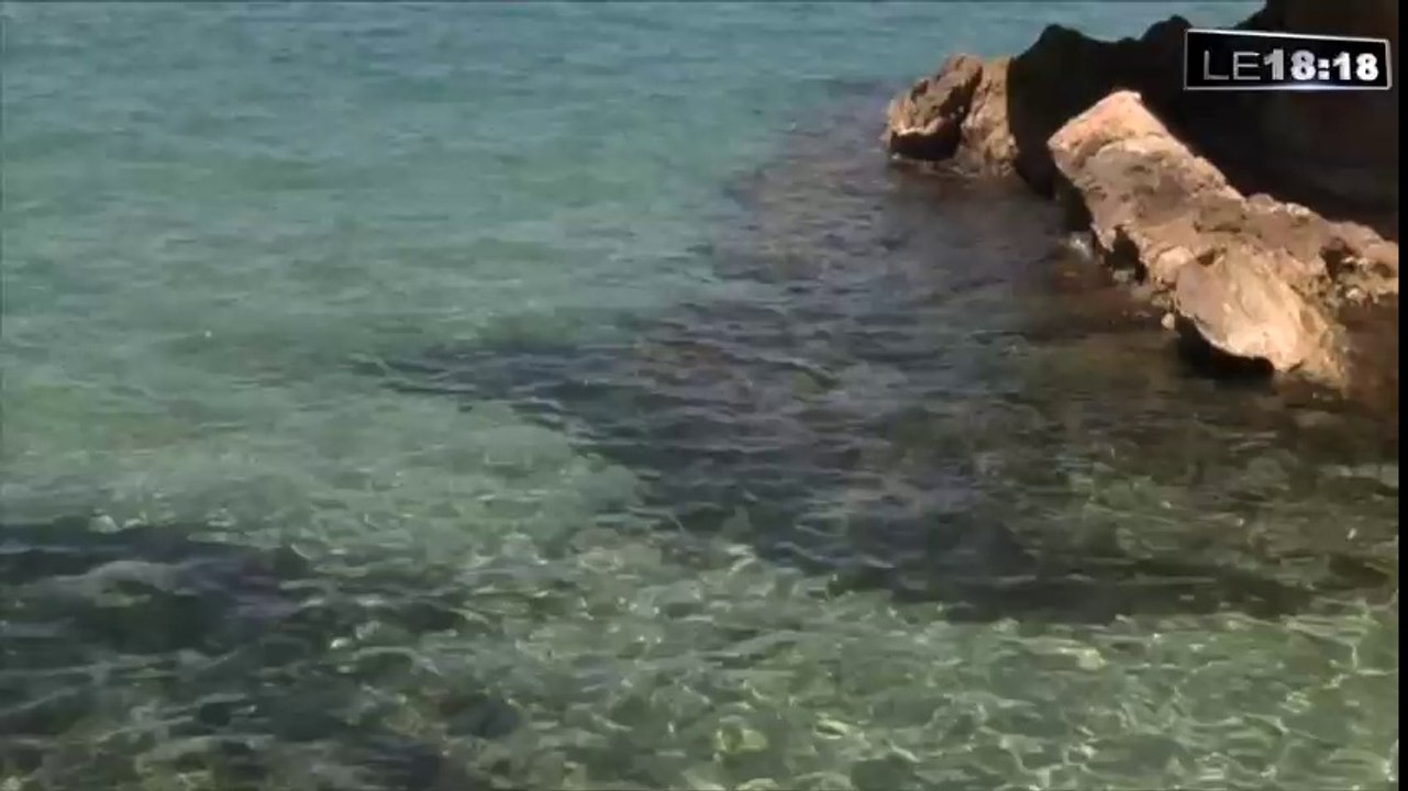Le 18:18 - Marseille : tous les voyants au vert pour un premier week-end à la plage