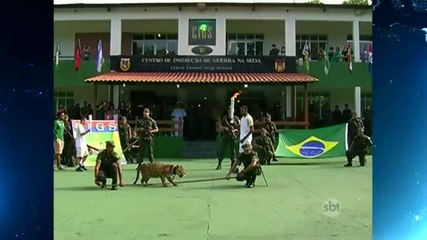 Exército abre investigação para explicar morte de onça após passagem da tocha olímpica