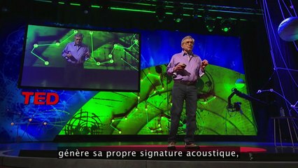 Conférence Ted de Bernie Krause : « La voix du monde naturel »