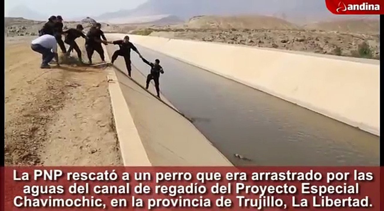 Des policiers forment une chaîne humaine pour sauver un chien d'un canal.