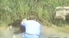 Un visiteur saute dans l'enclos du zoo, ce qu'il fait ensuite est héroïque !