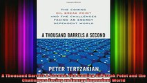 READ book  A Thousand Barrels a Second The Coming Oil Break Point and the Challenges Facing an Full Free