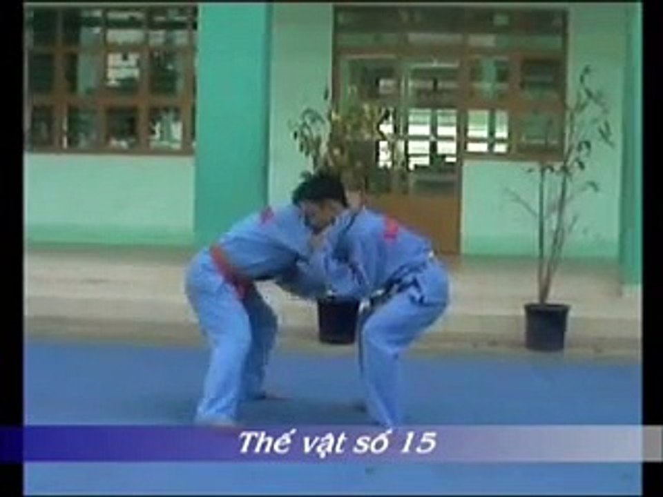 Vovinam: Technique de lutte n°15 – thế vật số 15⎪evovinam.com