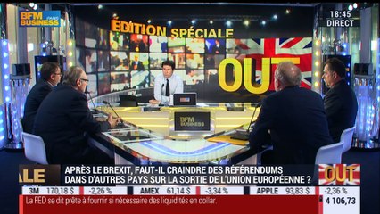Victoire du Brexit: Comment en est-on arrivé là ? - 24/06