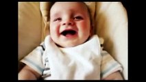 funny videos - Funny Baby laught