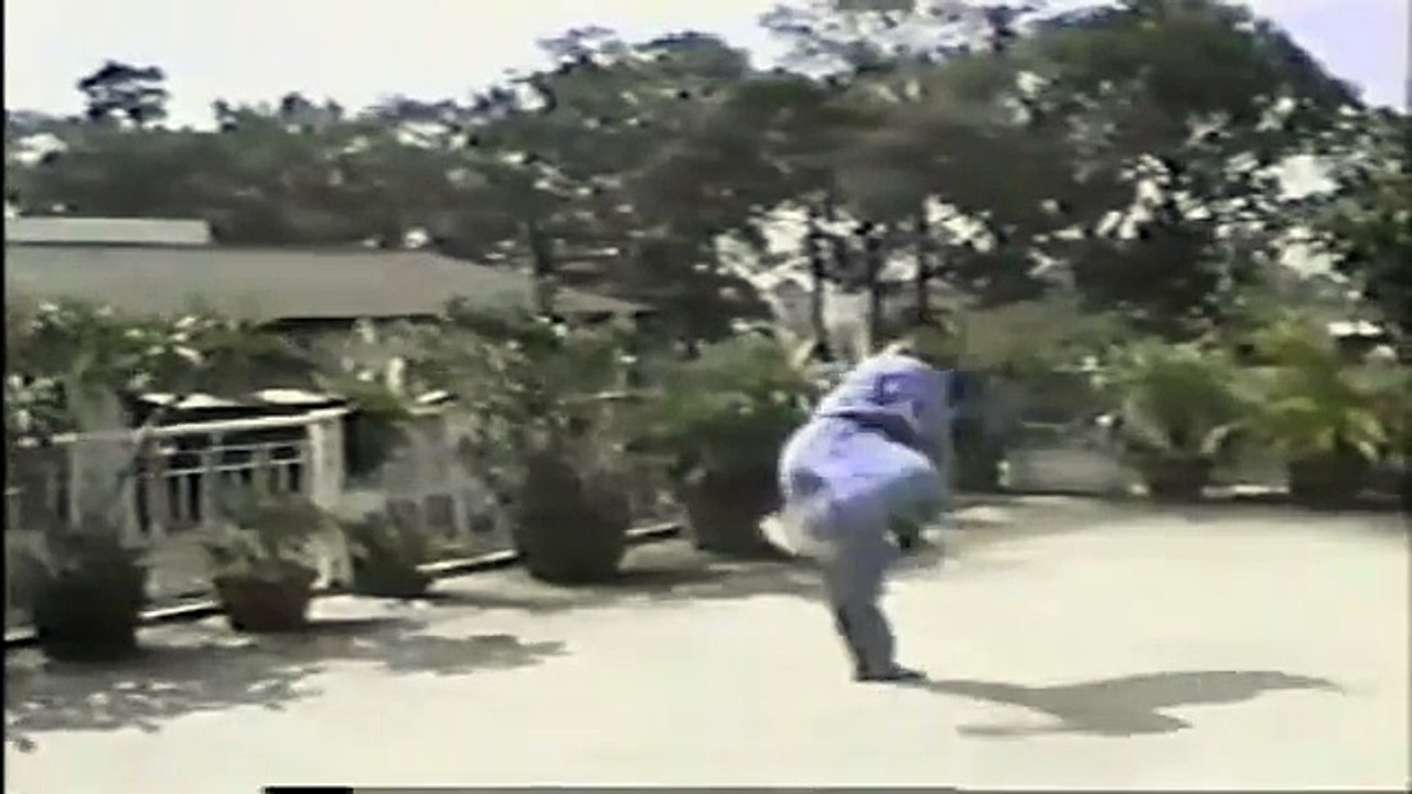 Vovinam: Lão Mai Quyền (Vieux prunier) ⎪evovinam.com