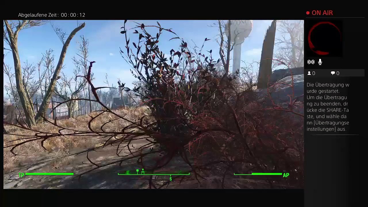 Fallout 4 von Sigi Ger (14)