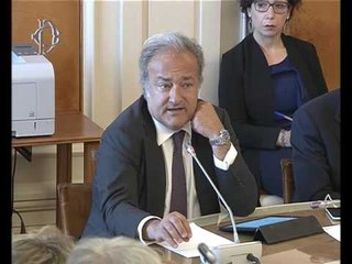 Roma - Nuovo codice degli appalti, audizione Cantone (21.06.16)