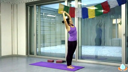 Clase completa de yoga dinámico para principiantes en español