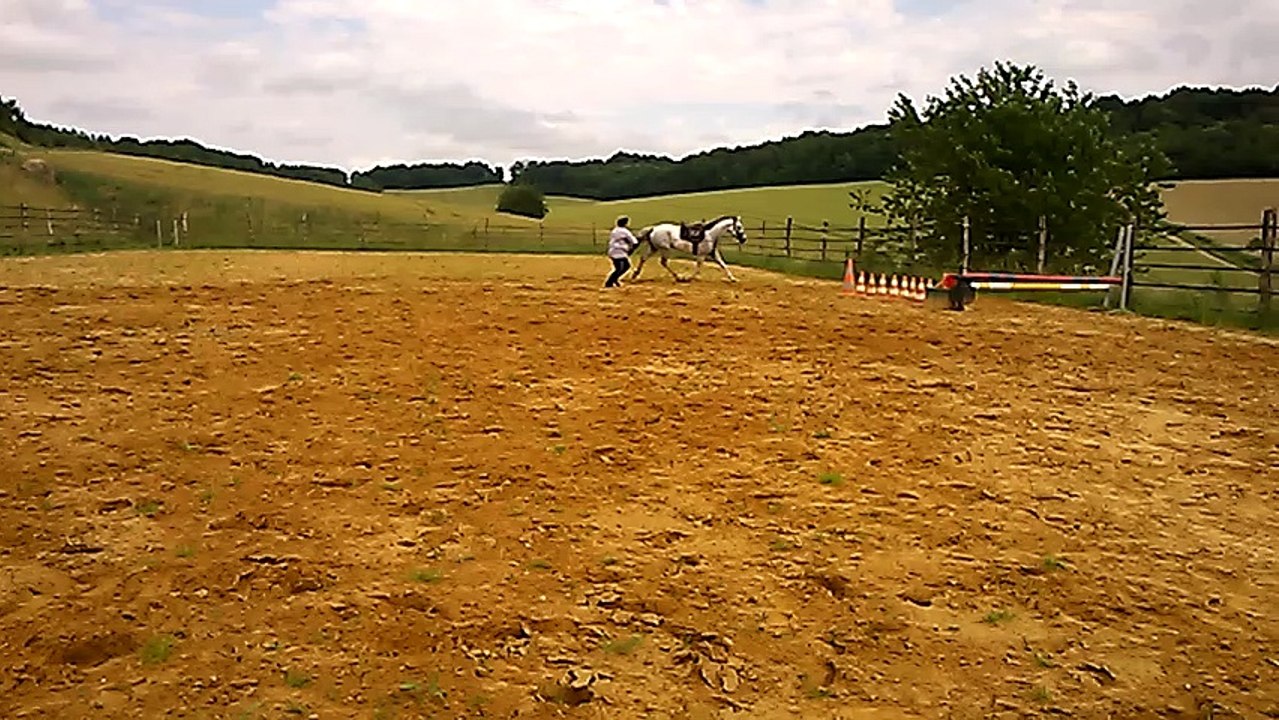 Alienor des Charmes, saut en longe 24 juin 2016