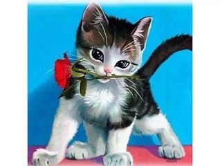 Good morning my loves where ever you are!