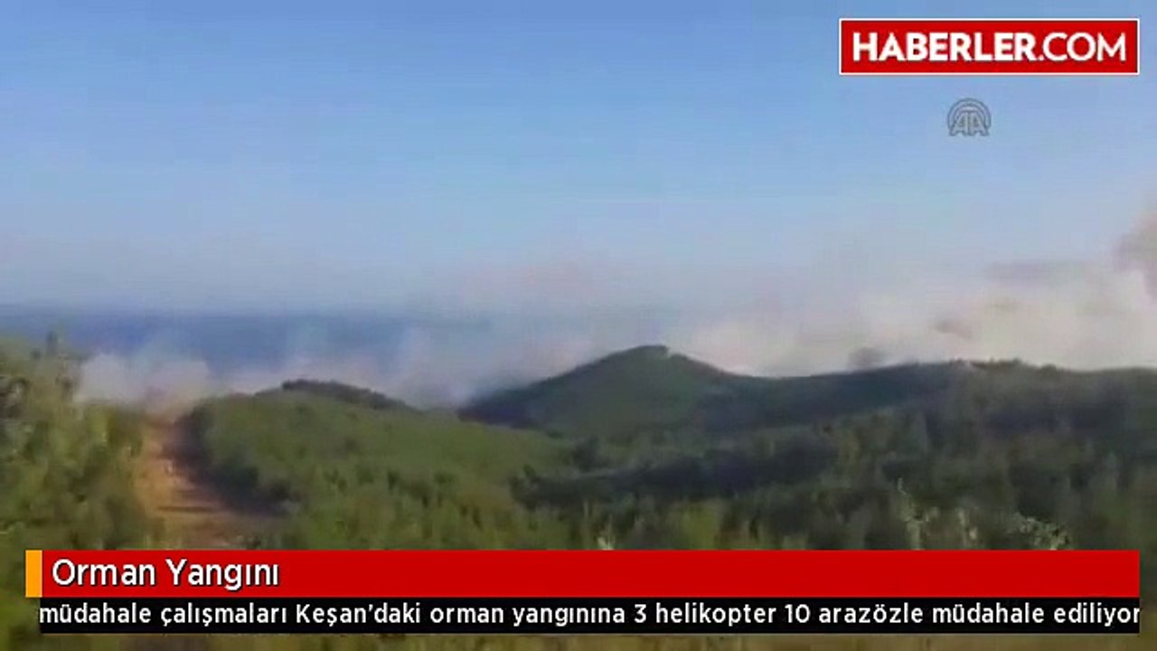 Orman Yangını