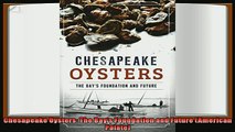 behold  Chesapeake Oysters The Bays Foundation and Future American Palate