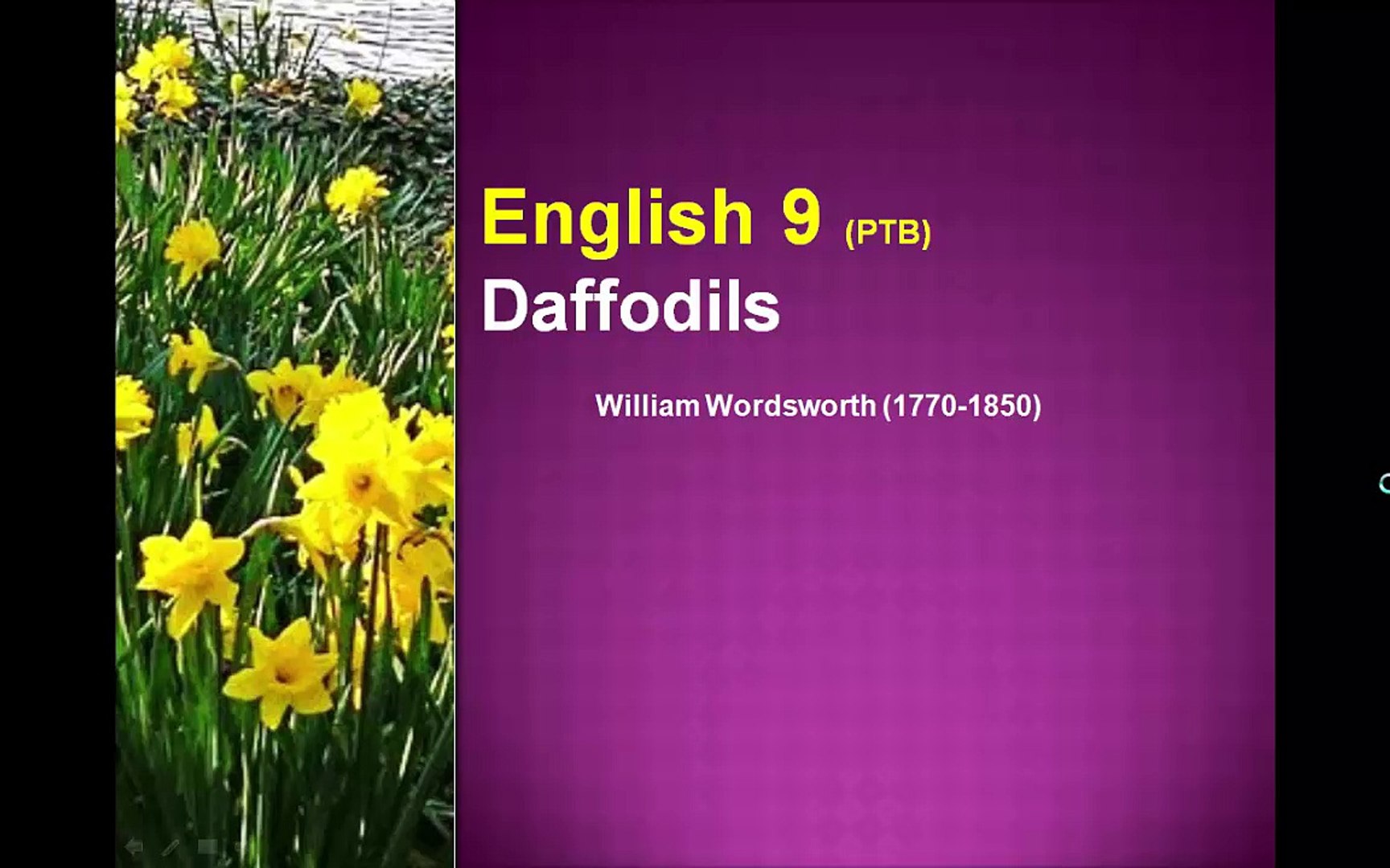 Daffodils Poem Summary