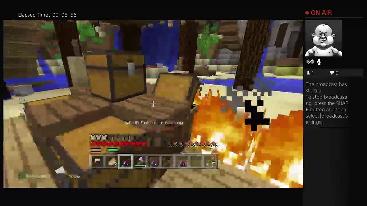 Minecraft (3)