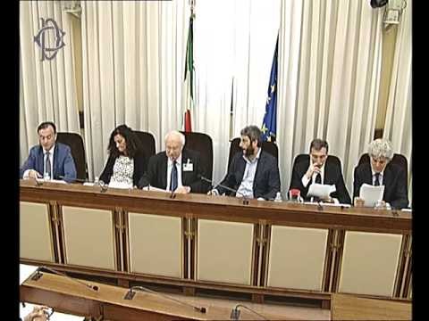 Roma - Audizione Presidente Cardani e componenti Agcom (22.06.16)