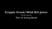 The 23 String Band - Cripple Creek/Wild Bill Jones