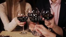 Friends At a Restaurant Drinking Wine. - Stock Footage | VideoHive 15433899