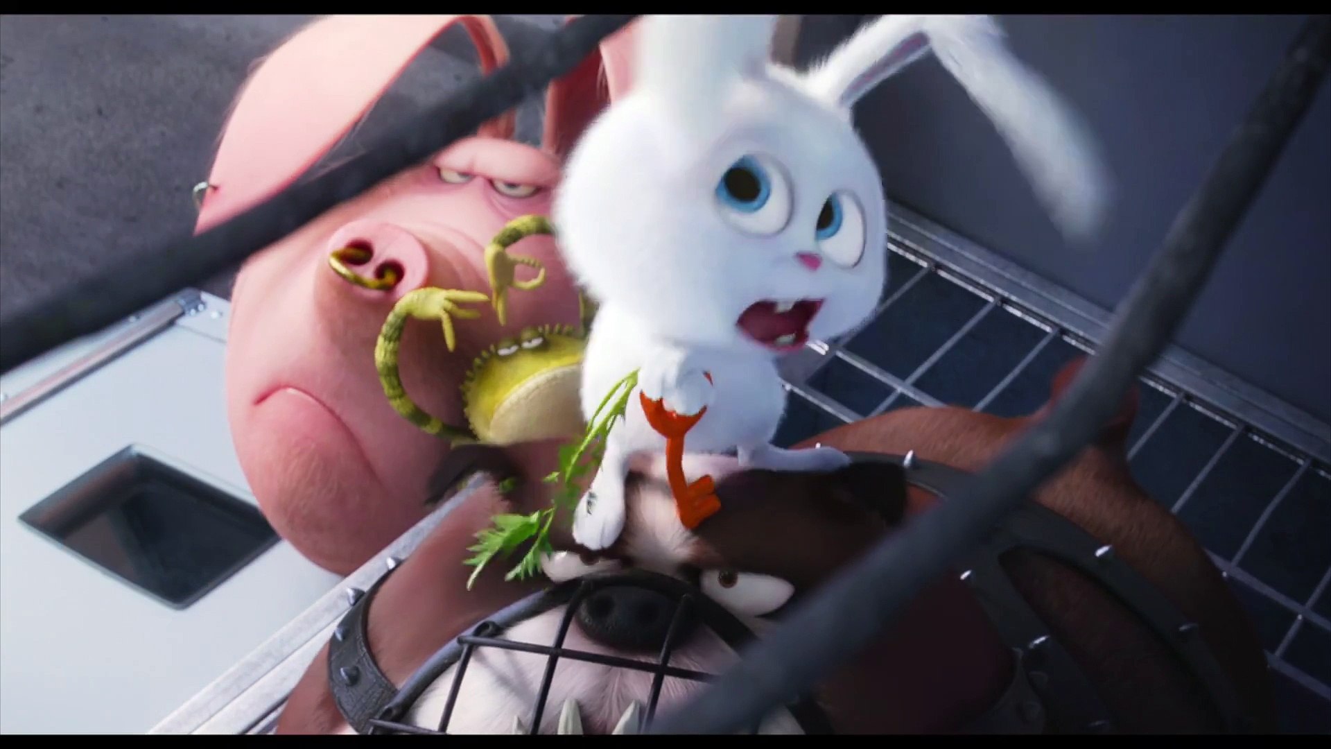⁣The Secret Life of Pets - The Flushed Pets