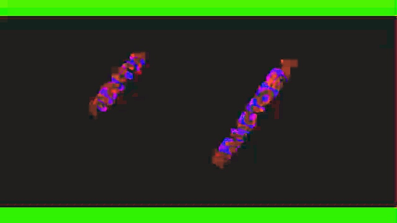 clipmaker (3)