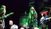 The Iron Maidens  -  22 Acacia Avenue