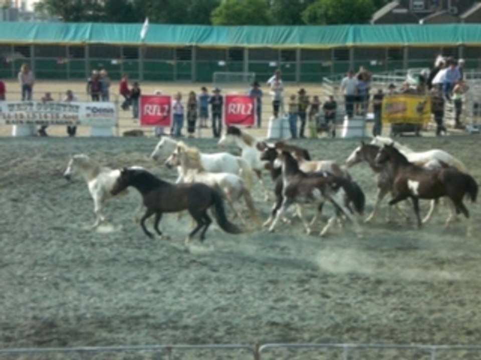 Toursrodeo172