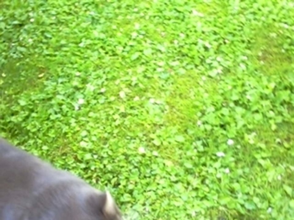 Revis. 14 Juli - 07.